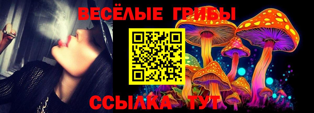 Галлюциногенные грибы MAGIC MUSHROOMS  Вход с VPN  Галлюциногенные грибы Psilocybine cubensis  Новый Уренгой 