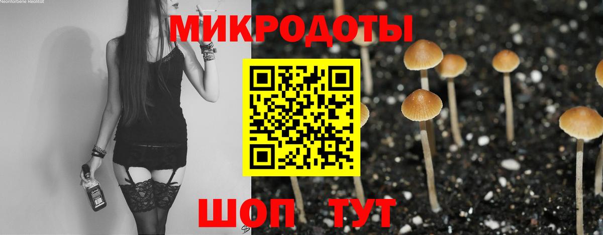 Псилоцибиновые грибы Psilocybine cubensis Новый Уренгой